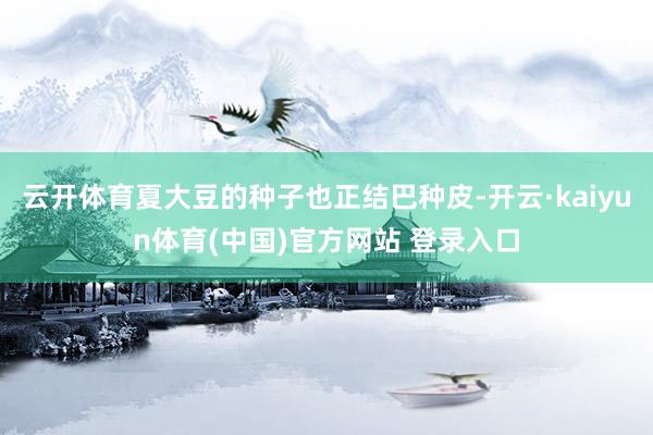 云开体育夏大豆的种子也正结巴种皮-开云·kaiyun体育(中国)官方网站 登录入口