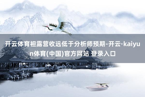 开云体育袒露营收远低于分析师预期-开云·kaiyun体育(中国)官方网站 登录入口